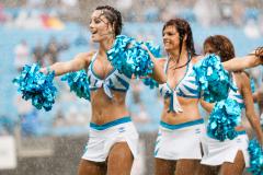 Carolina Panthers Cheerleaders