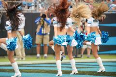 topcats 28