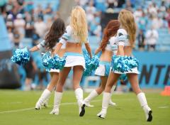 topcats 7