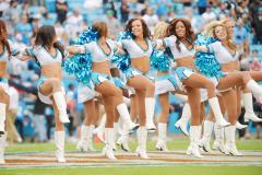 topcats 11