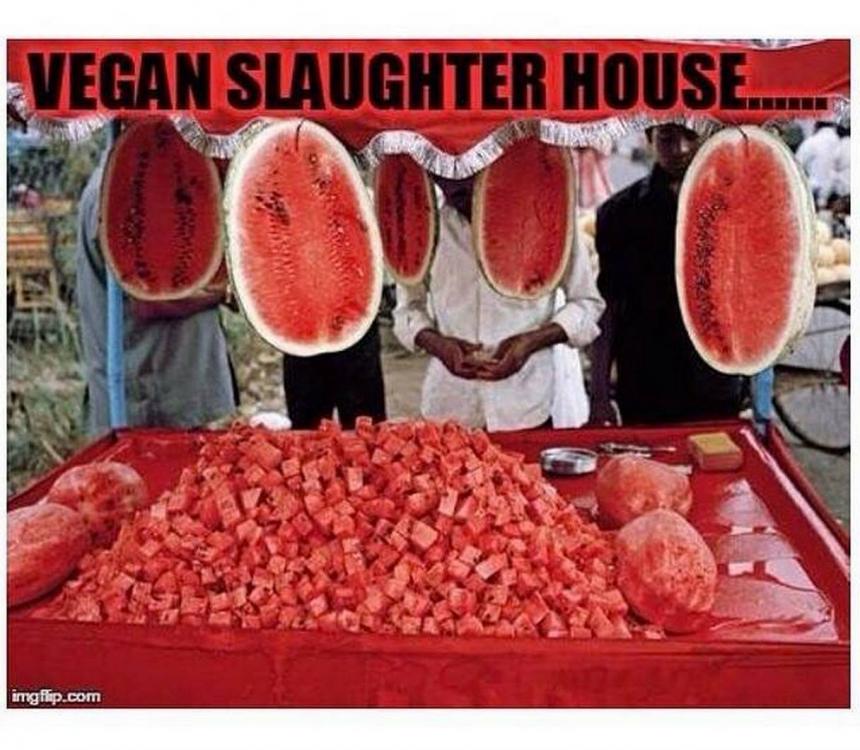 vegan.jpg