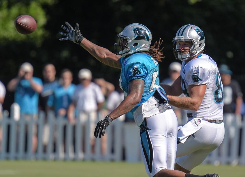 carolina-panthers-training-camp-2015-3-6