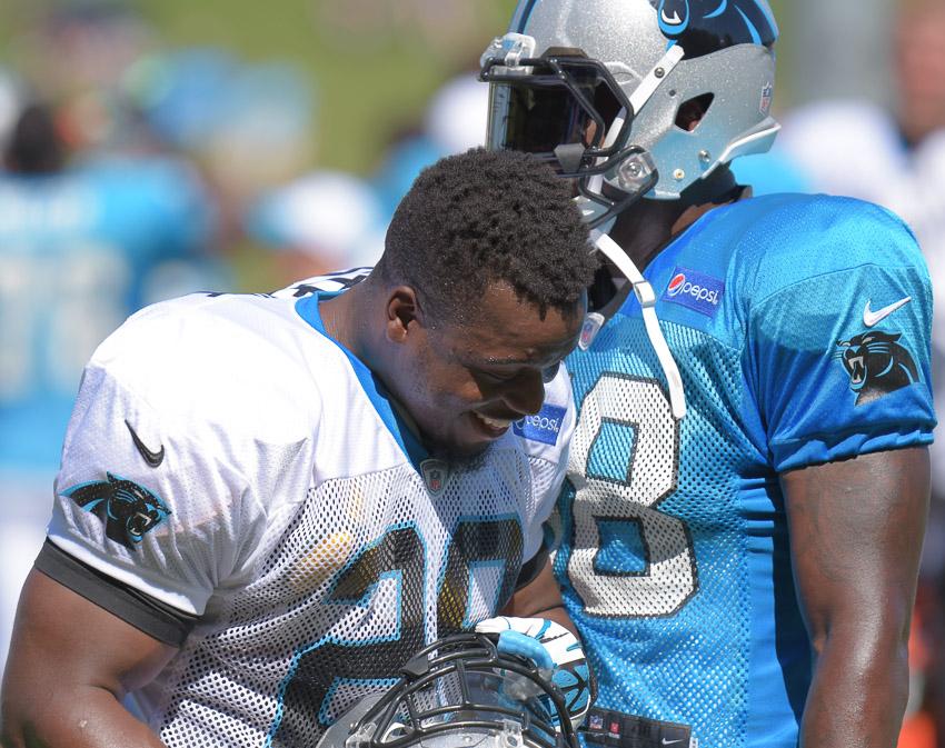 carolina-panthers-training-camp-2015-3a-