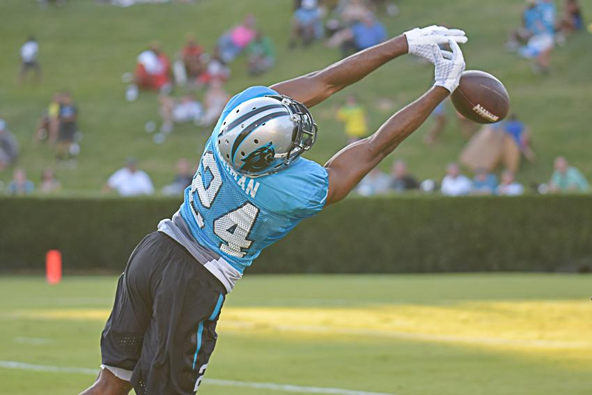 carolina-panthers-training-camp-2015-504