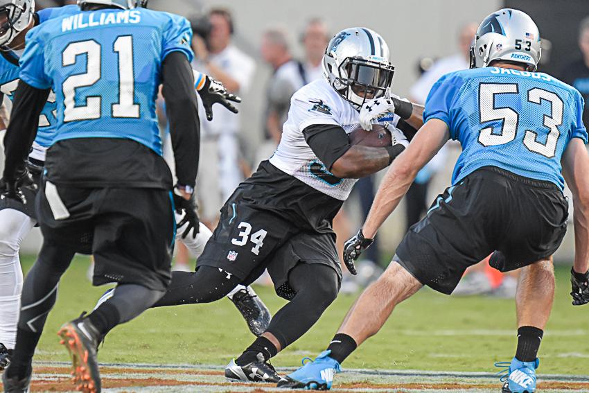 carolina-panthers-training-camp-2015-521