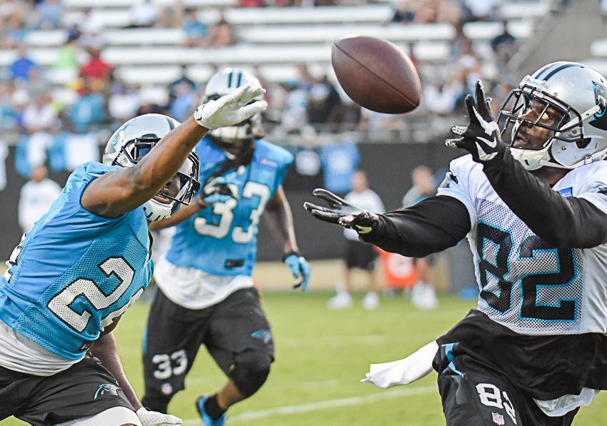 carolina-panthers-training-camp-2015-524