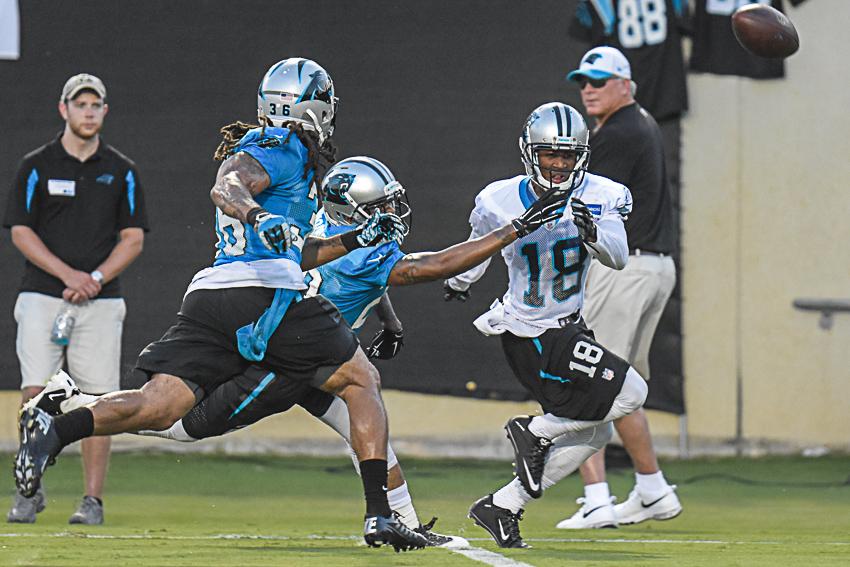 carolina-panthers-training-camp-2015-531