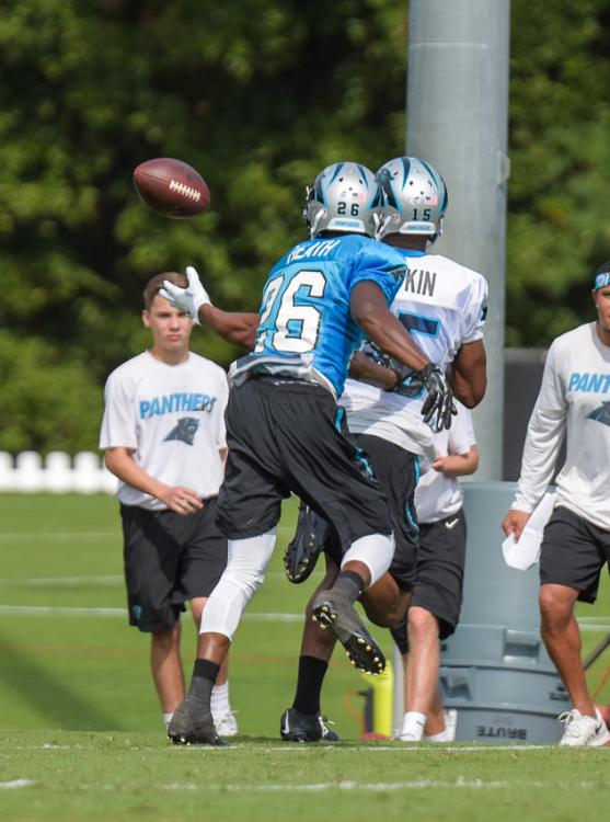 panthers-camp-12-3327.thumb.jpg.2efcd742