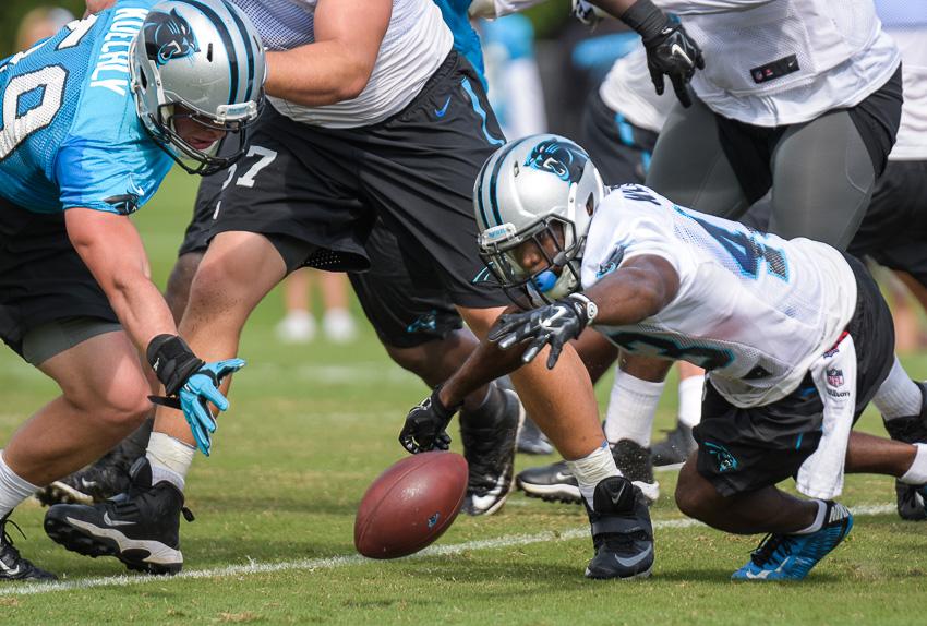 panthers-camp-12-3381.thumb.jpg.2c5f78c7