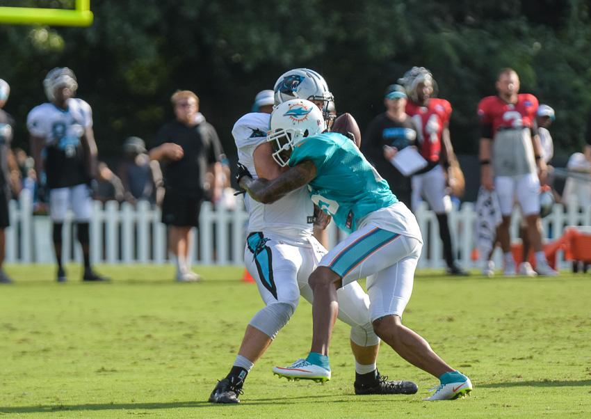 panthers-dolphins-4104.thumb.jpg.fb4374d