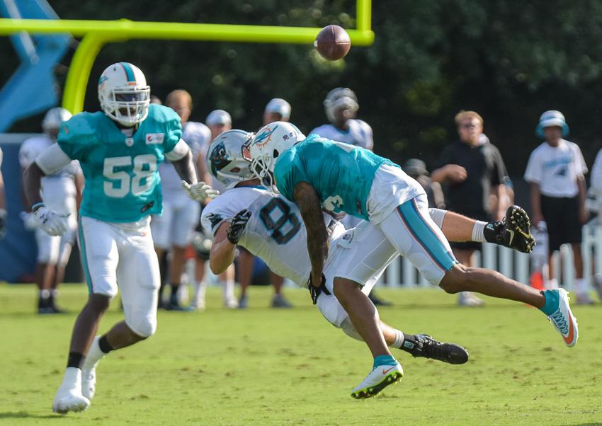 panthers-dolphins-4106.thumb.jpg.9804825