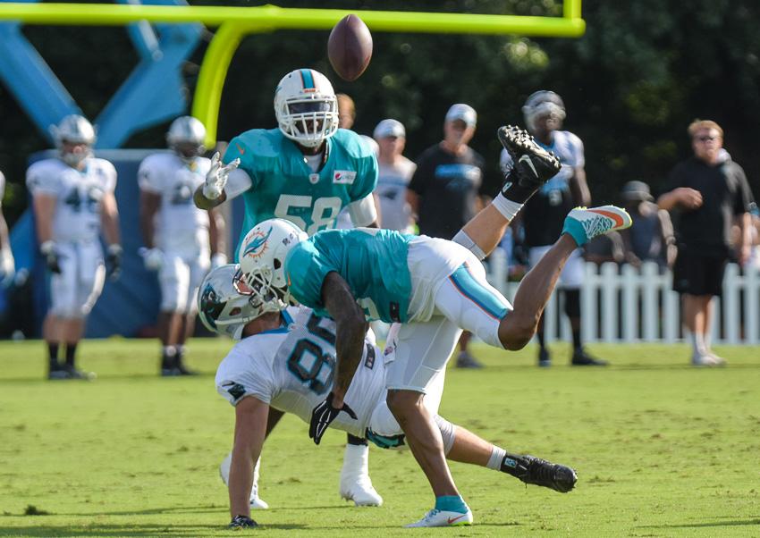 panthers-dolphins-4107.thumb.jpg.2e66e19