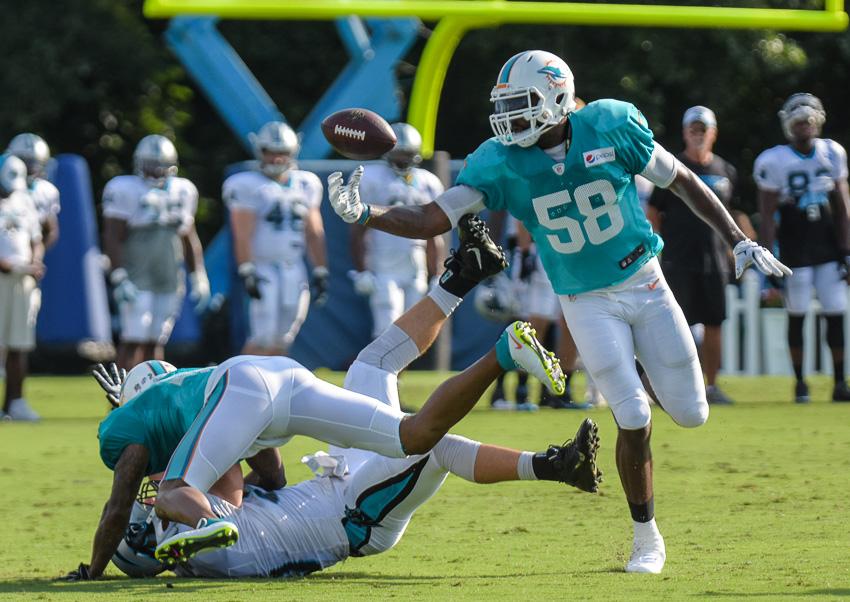 panthers-dolphins-4109.thumb.jpg.be5b58f