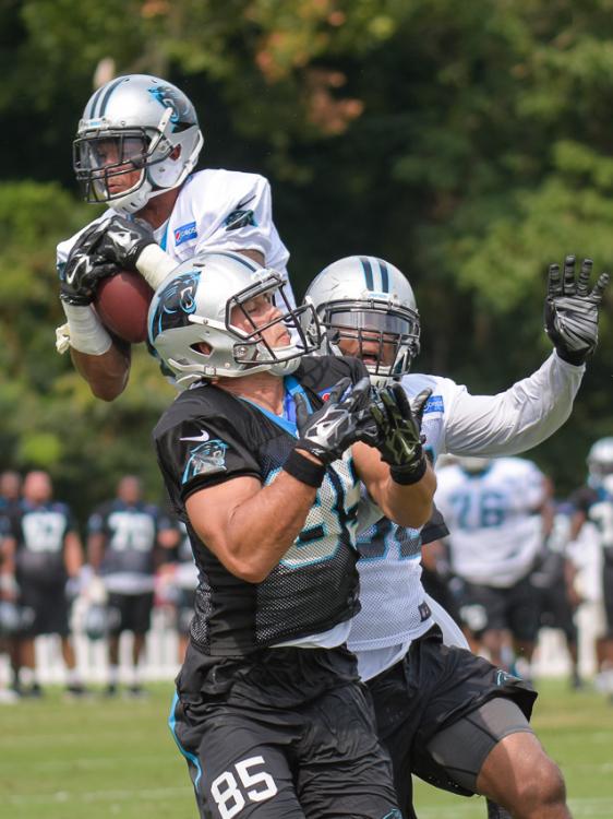 panthers-training-camp-0178.thumb.jpg.1c