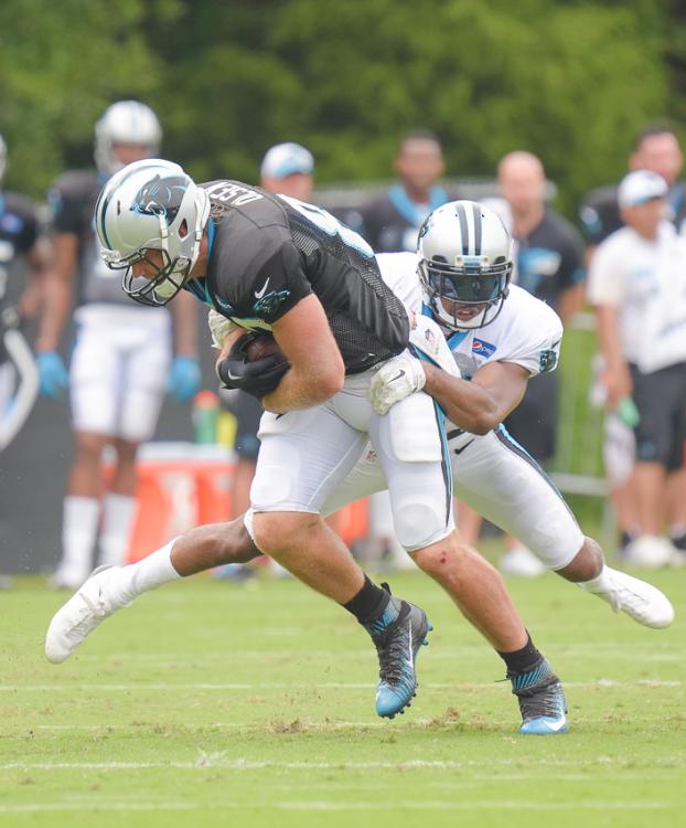 panthers-training-camp-0804.thumb.jpg.60