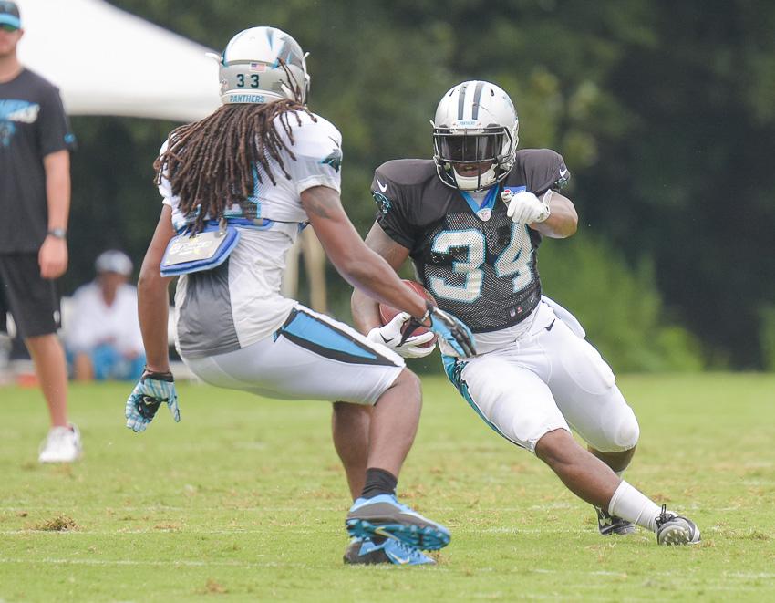 panthers-training-camp-0832.thumb.jpg.e2