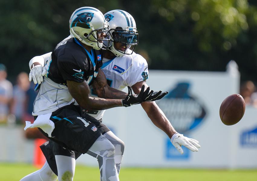 panthers-training-camp-10-1678.thumb.jpg