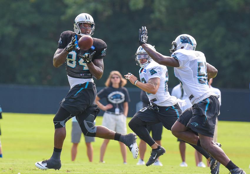 panthers-training-camp-10-1733.thumb.jpg