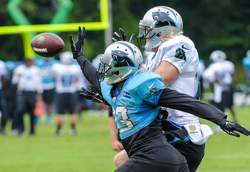 panthers-training-camp-13-22.thumb.jpg.2