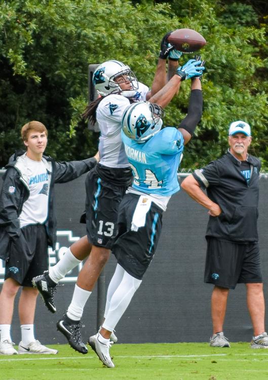 panthers-training-camp-13-36.thumb.jpg.7