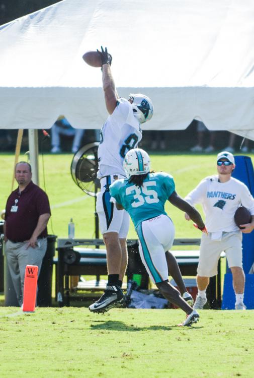 panthers-training-camp-final-14.thumb.jp