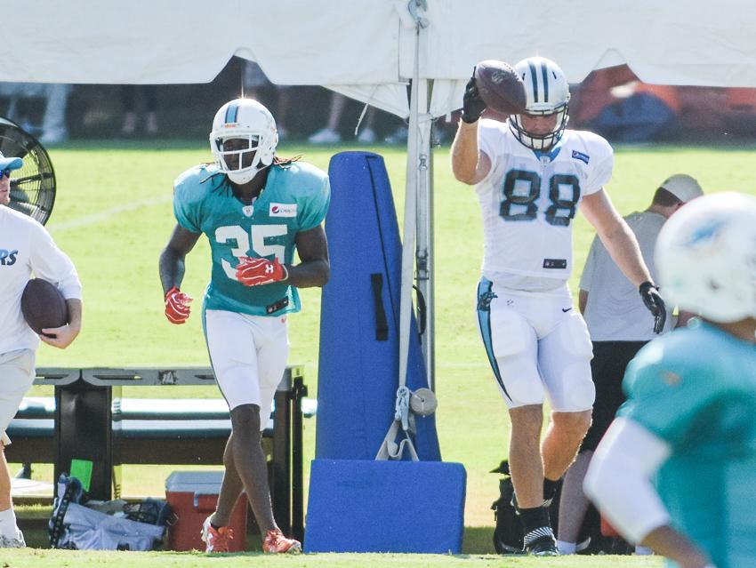 panthers-training-camp-final-15.thumb.jp