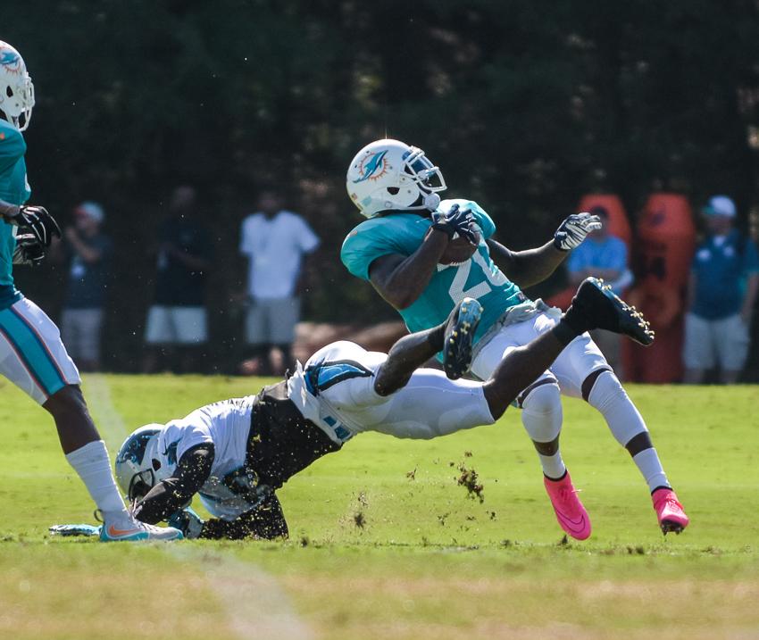 panthers-training-camp-final-19.thumb.jp