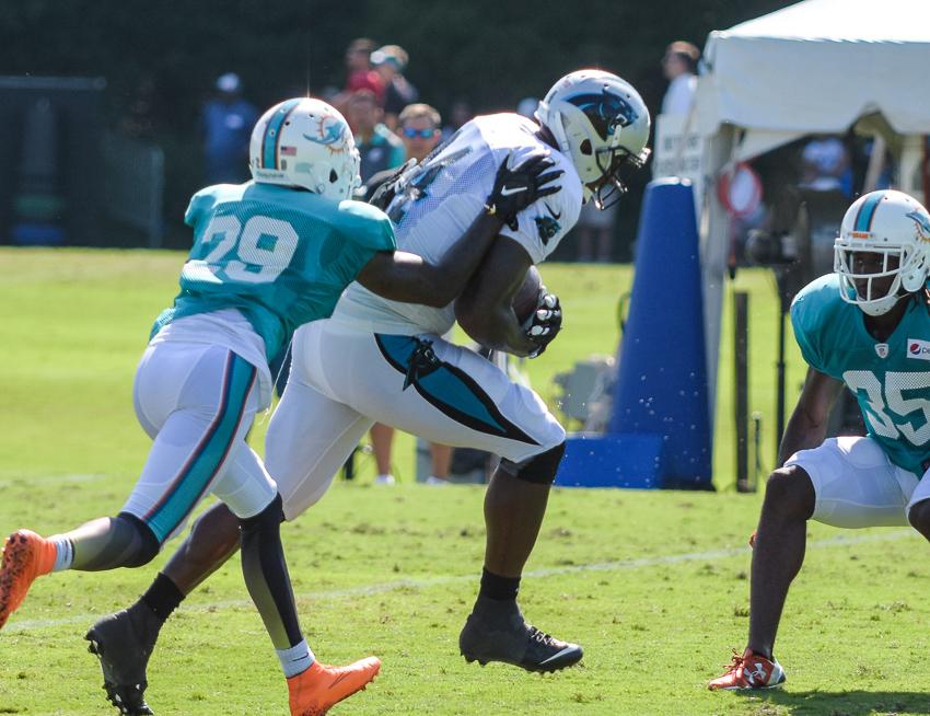 panthers-training-camp-final-22.thumb.jp