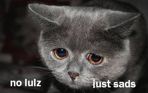 100911-no-lulz.thumb.jpg.44b7476858a00c4