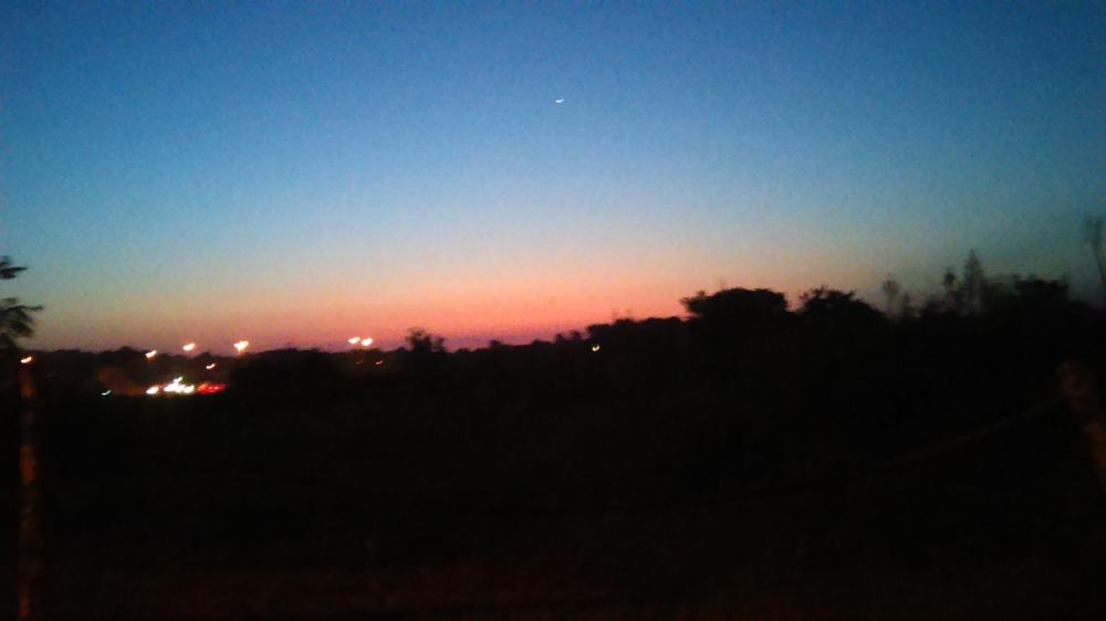 IMAG0007.jpg