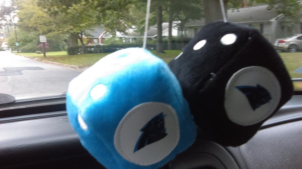 IMAG0015.jpg