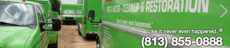 cropped-servpro-west-tampa.thumb.png.f46a191997a2380b4713c7f36262f2d2.png