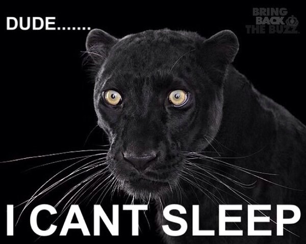 Icantsleep.jpg.9ff1737ceafb5de3d304d1fc1