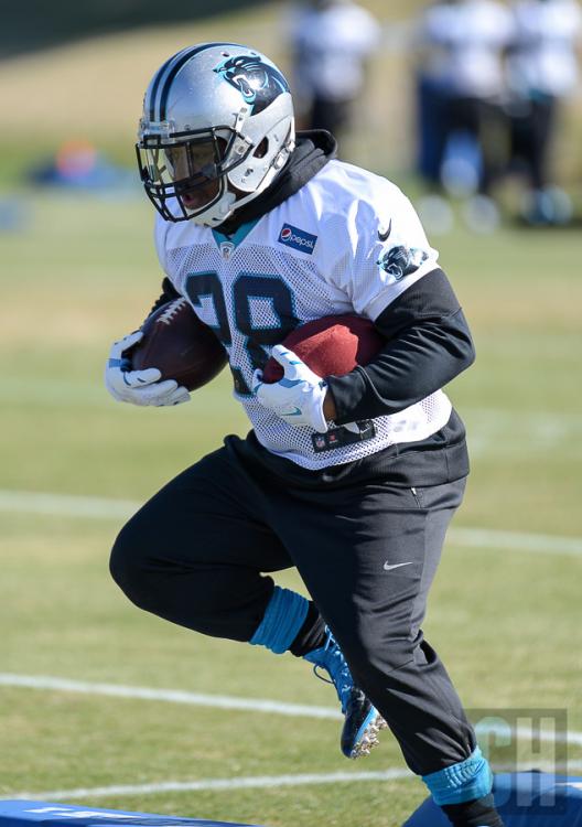 panthers-practice-4.thumb.jpg.93d16fbb17
