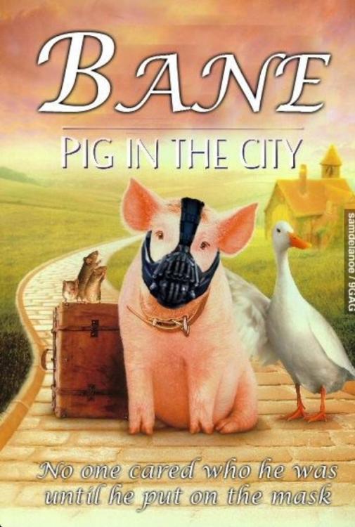 56bad8af3816e_BBpH2PkCcAEFAlx.jpglarge.t