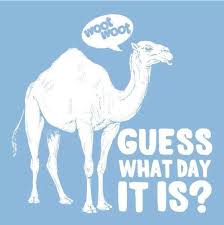 Guess_what_day_it_is.jpg.8d6c15d127500e2