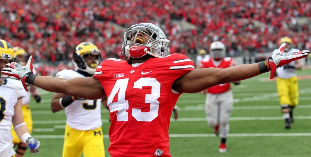 darron-lee-michigan-spread-arms-2014-9b32748537b4b507.jpg