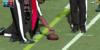ConcreteClosedAmericanblackvulture-size_restricted.gif