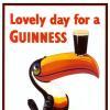 My Goodness My Guinness