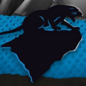 UpstatePanther