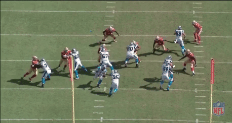 Cam Newton 5.gif
