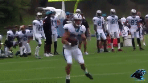 597bc73274be8_ChristianMcCaffreyTC3a.gif.3e8da87bf8b6f9ef7f1704a33226ac78.gif