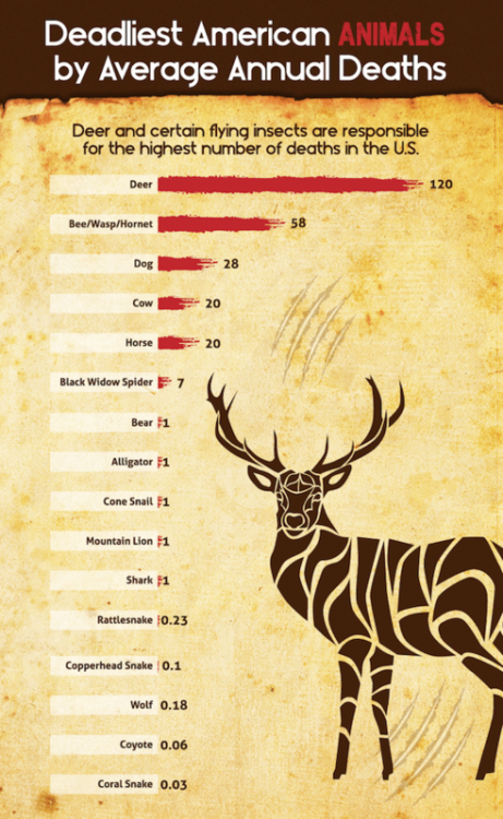 deadliest-american-animals.thumb.png.6492cdc3018f28422810963f82c17415.png