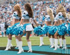 carolina-topcats-1.jpg