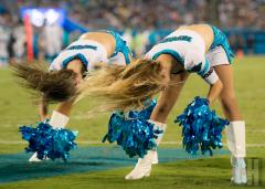 carolina-topcats-13.jpg