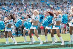 carolina-topcats-13.jpg