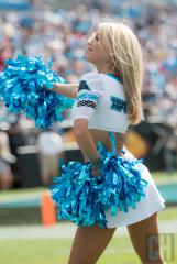 carolina-topcats-9.jpg