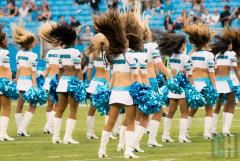 carolina-topcats.jpg