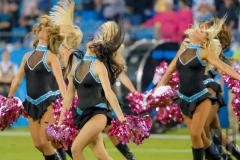 panthers-topcats-1.jpg