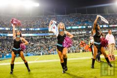 panthers-topcats-2.jpg